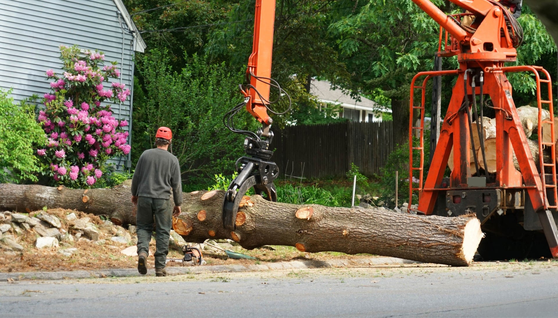 Local partner for Tree removal services in Miami