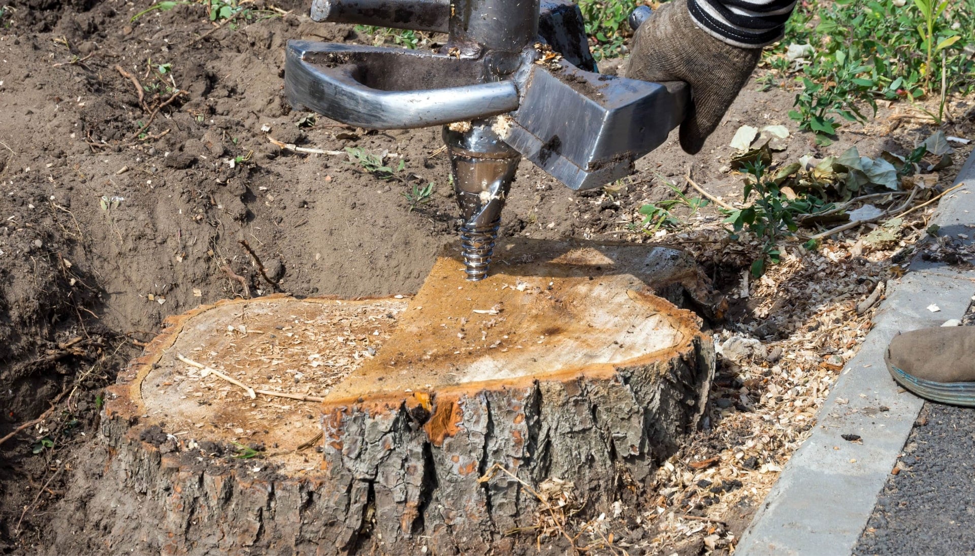 Miami Tree stump removal